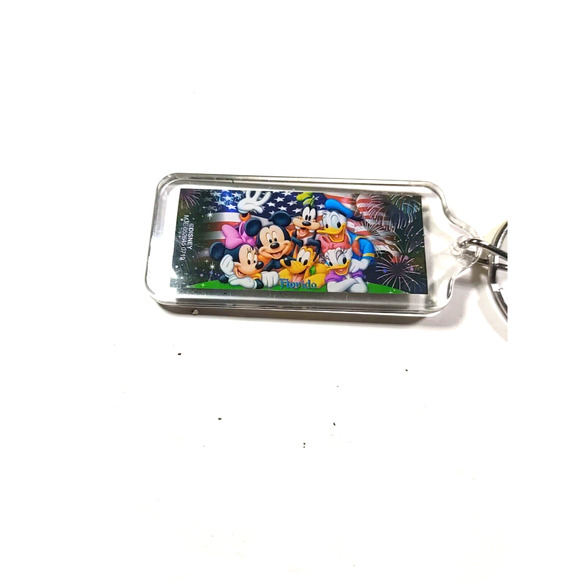 Disney Florida Acrylic Keychain - Picture 2 of 8